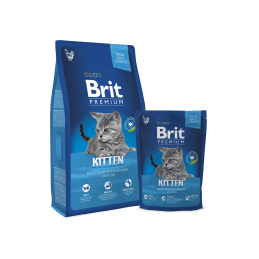Brit Premium Chat Kitten...