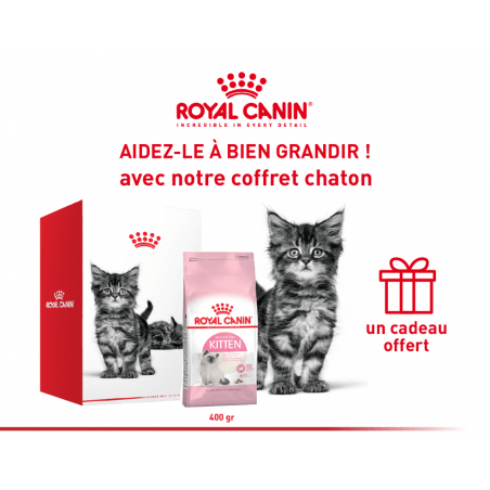 Croquettes Chat Pack Royal Canin Chat Kitten 400 G