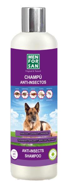 Huile insectifuge pour «chien-buffet»