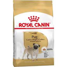 Royal Canin CHIEN pug...