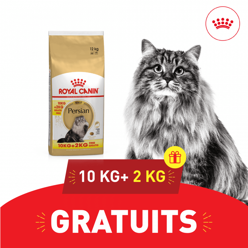 Croquettes Chat Promo Royal Canin Chat Persian 10 Kg 2 Kg Tunisie