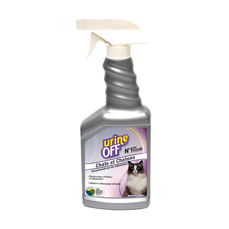 9 astuces pour enlever l'odeur d'urine de chat