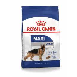 Royal canin CHIEN Maxi...