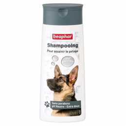 Shampooing chien...