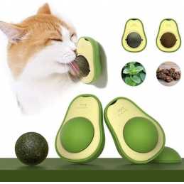 AVOCADO CATNIP - Herbe À Chat